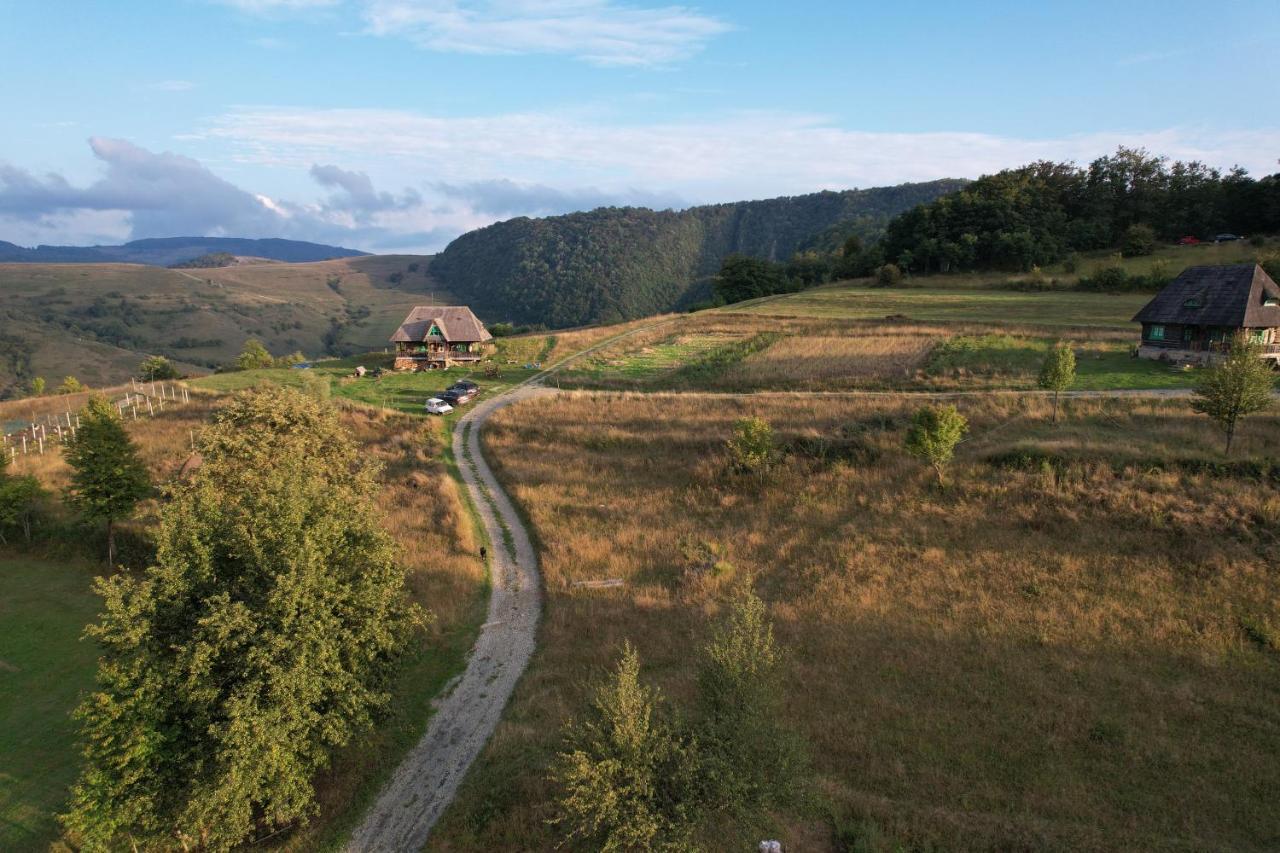 Casa Glod Konuk evi Glod  Dış mekan fotoğraf