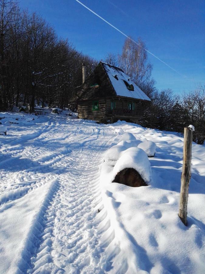 Casa Glod Konuk evi Glod  Dış mekan fotoğraf