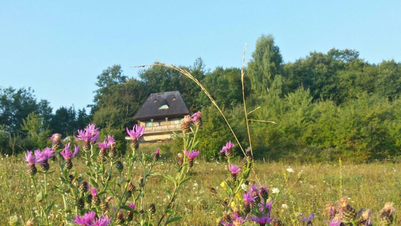 Casa Glod Konuk evi Glod  Dış mekan fotoğraf