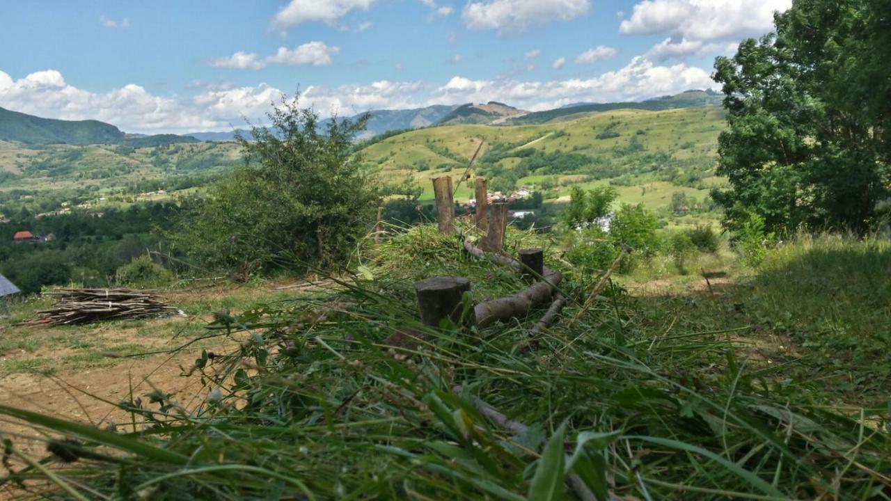 Casa Glod Konuk evi Glod  Dış mekan fotoğraf