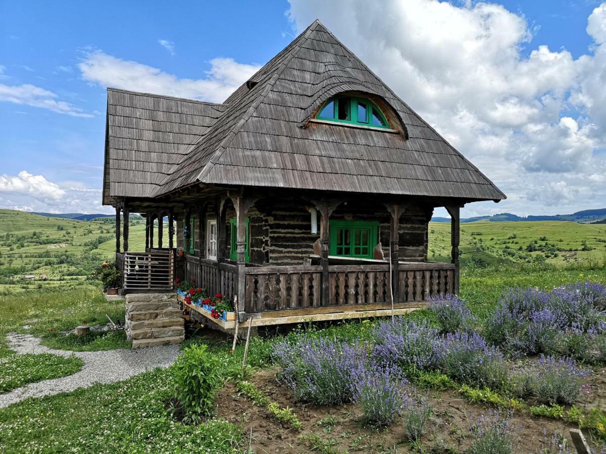 Casa Glod Konuk evi Glod  Dış mekan fotoğraf