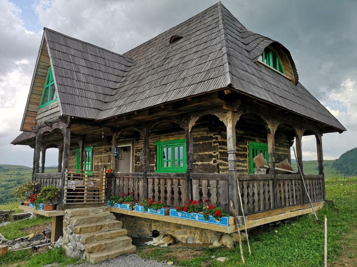 Casa Glod Konuk evi Glod  Dış mekan fotoğraf