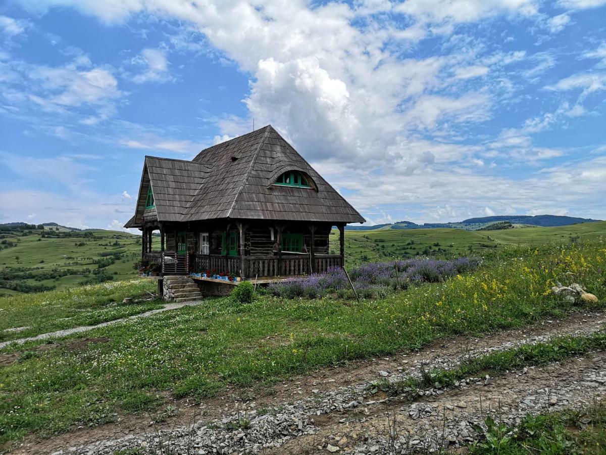 Casa Glod Konuk evi Glod  Dış mekan fotoğraf
