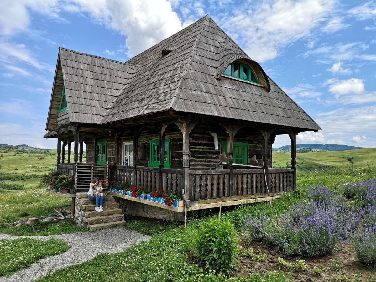 Casa Glod Konuk evi Glod  Dış mekan fotoğraf