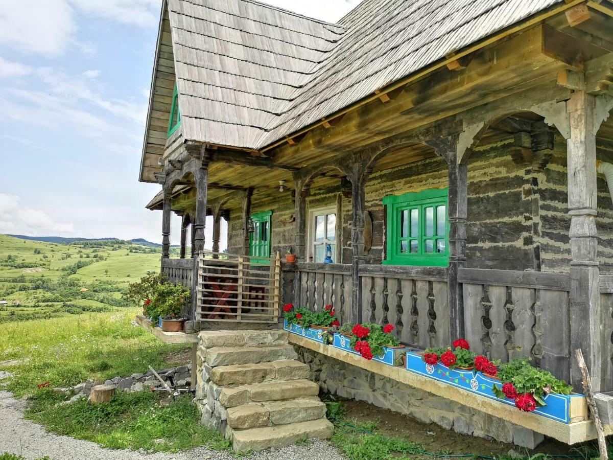 Casa Glod Konuk evi Glod  Dış mekan fotoğraf