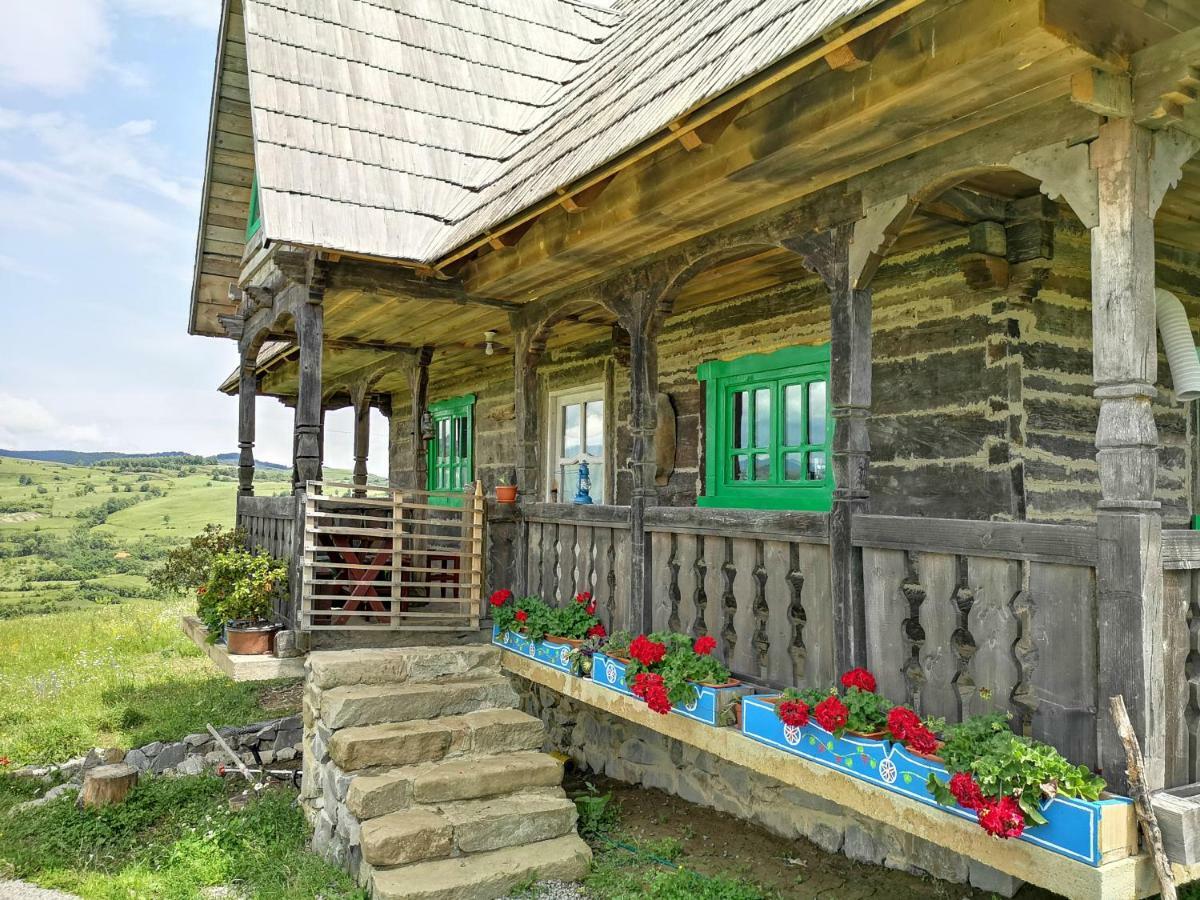 Casa Glod Konuk evi Glod  Dış mekan fotoğraf