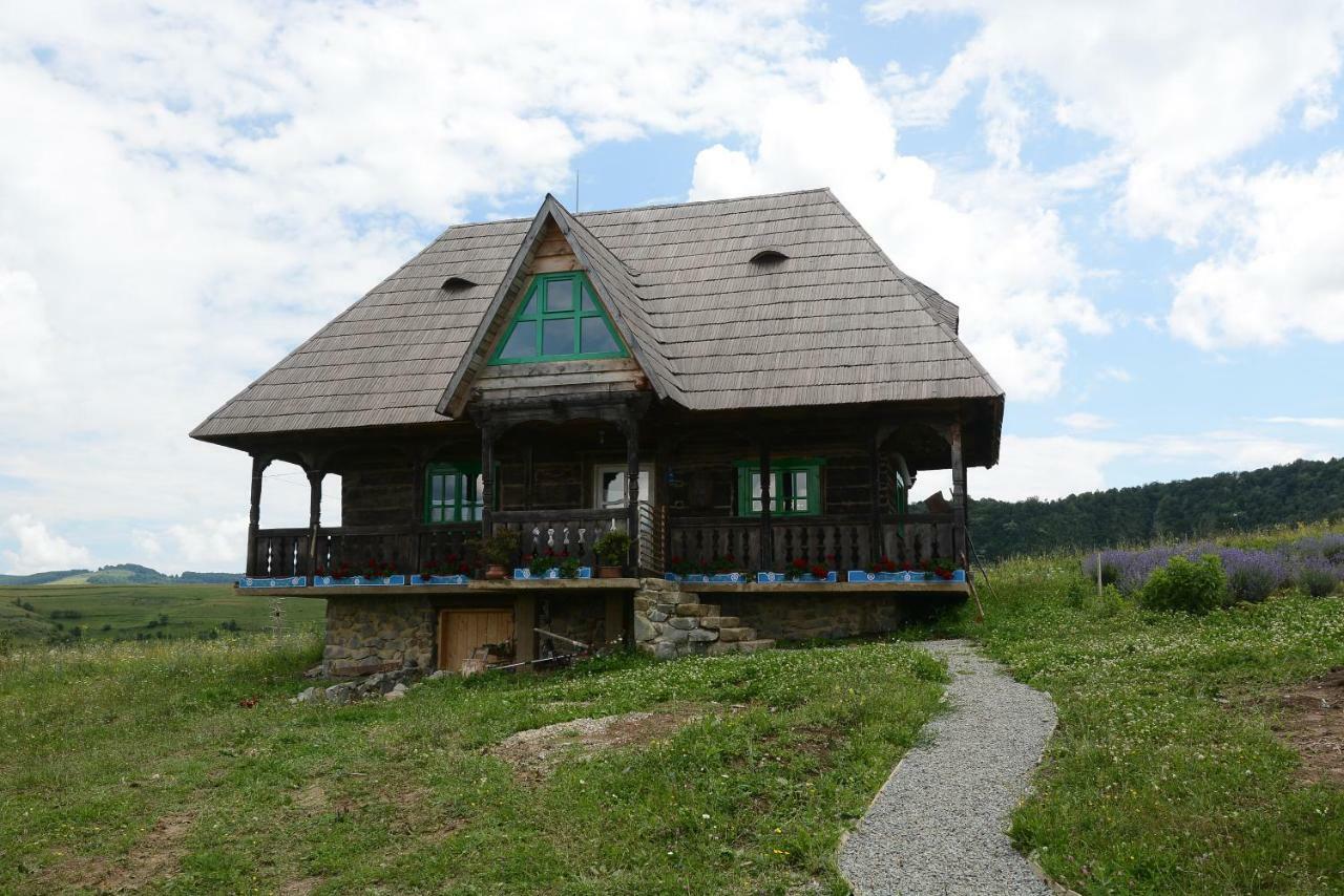 Casa Glod Konuk evi Glod  Dış mekan fotoğraf