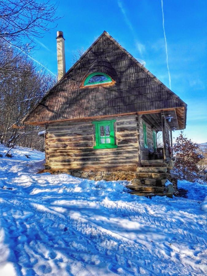 Casa Glod Konuk evi Glod  Oda fotoğraf