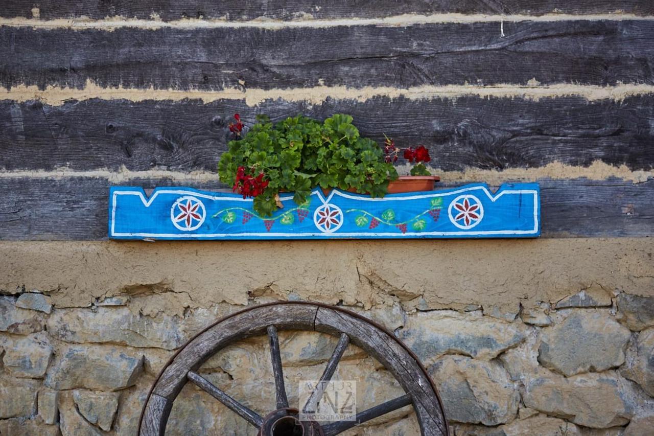 Casa Glod Konuk evi Glod  Dış mekan fotoğraf