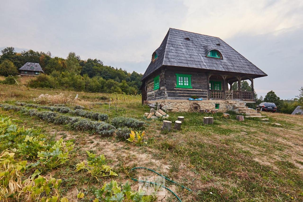 Casa Glod Konuk evi Glod  Dış mekan fotoğraf